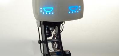 AIDA Robot asystent podróży